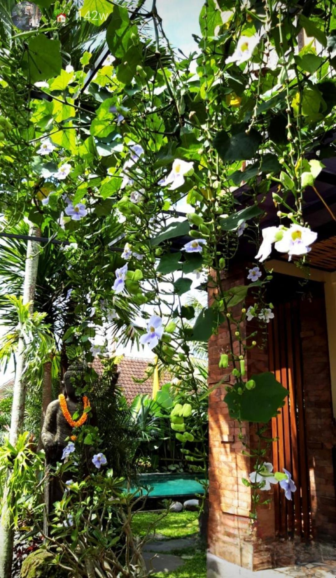 Buda Amitaba Ubud  Bagian luar foto